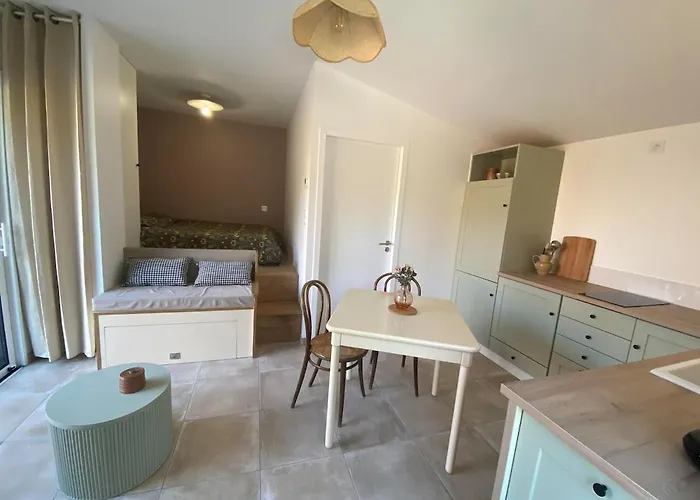 Appartement 2-3 Pers La Gaubretiere